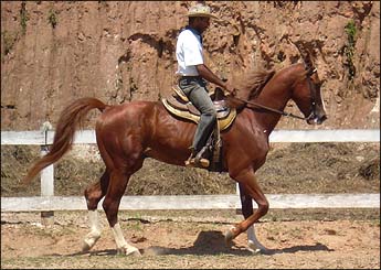 MALVAN ATR