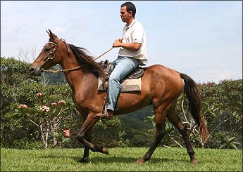 LANDAU