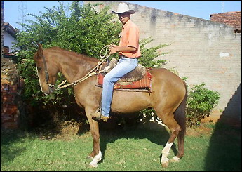 Sem nome Informado - 2432