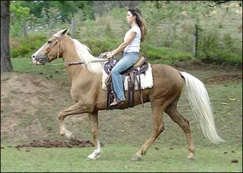 LUXO DA MATA