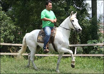 BALADA RJR