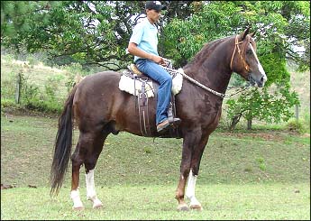 INDIANO RA