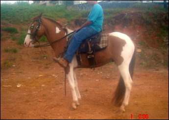 PIRULITO DO ZANTUN