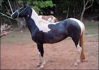 KATRINA DO ERA