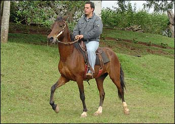 GABARITO