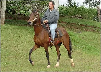 GABARITO