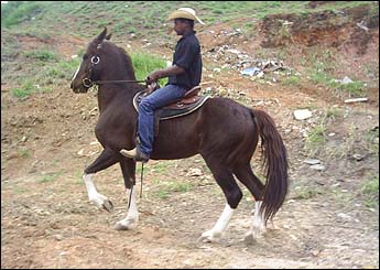 ROCHEDO DO ZANTUM