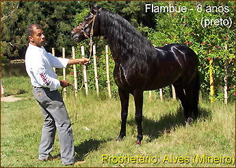 Sem nome Informado - 2158