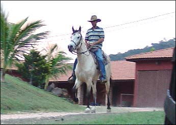 APOLO