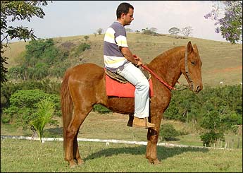 BOLINHO
