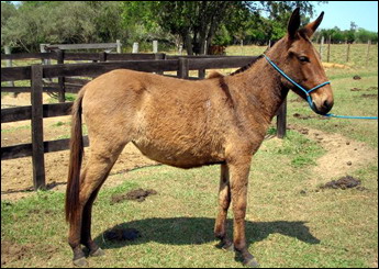 Sem nome Informado - 2109