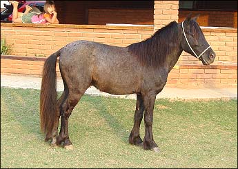 EDINHO