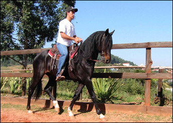 QUERUBIM DO RANCHO VITÓRIA