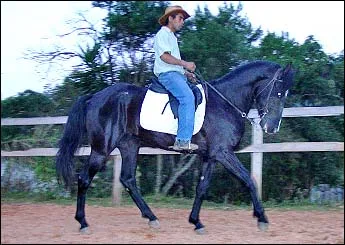 TROVÃO