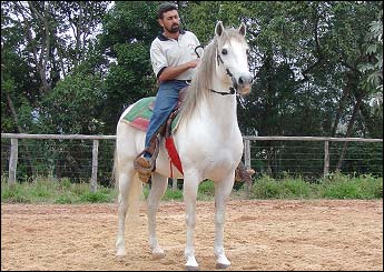 PETRUSCO