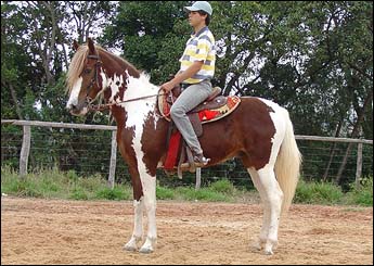 MISTÉRIO