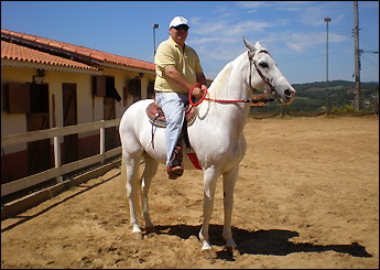 MAGNO