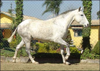ZARPA DE QUINTANA