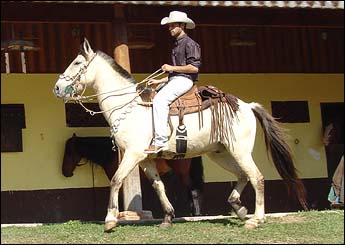 TALENTO DO MATUTO