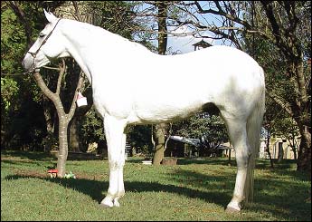LABIRINTO RA