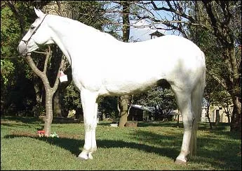 LABIRINTO RA