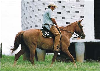 JACUTINGA JCO