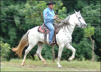 QUILOMBO DOS PINHÕES