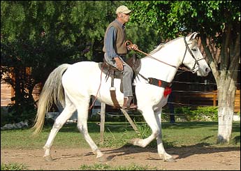 DESIREÉ HH