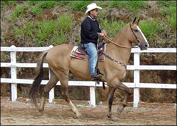 GALAN