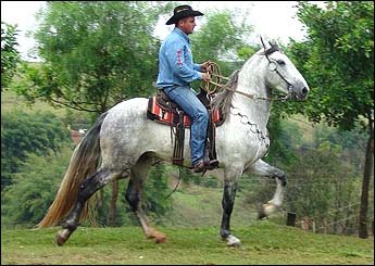 JURADO DA FRONTEIRA