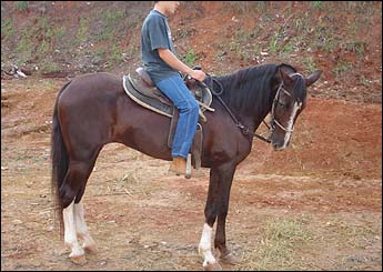 SAGATIBA DO ZANTUN