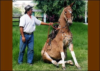 MEDALHA DO HARAS DA SERRA