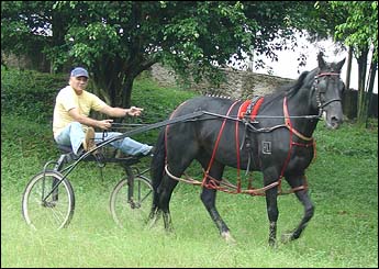 HL BAND LUNÁTICO