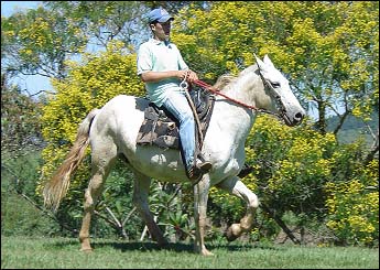 MOICANO