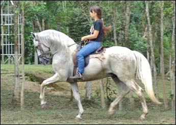 NABUCO DO TOP