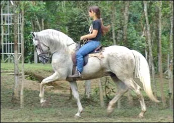 NABUCO DO TOP
