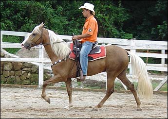 FÚRIA