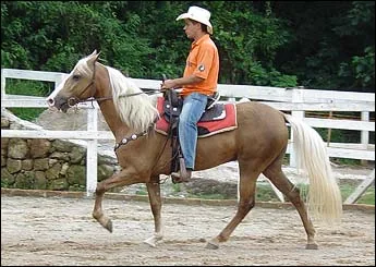 FÚRIA