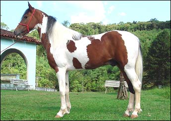 ARITANA LF