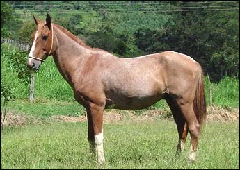 MARLBORO