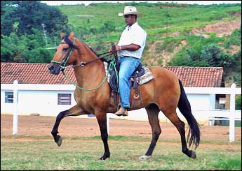 Sem nome Informado - 1323