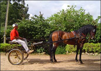 X QUEBOM