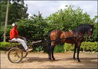 X QUEBOM