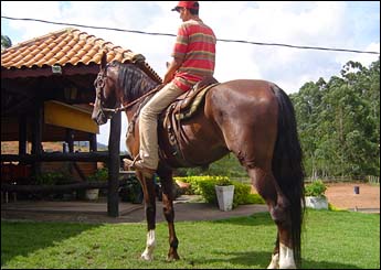 KALIMANTAN DE ATIBAINHA