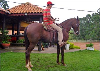Sem nome Informado - 1253