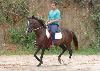 CAMOMILA VHC