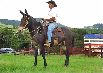 RIO NEGRO