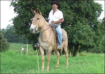 MARQUEZA