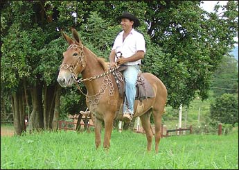 Sem nome Informado - 1234