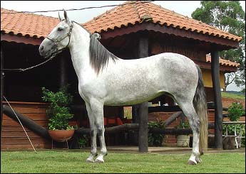 MATIARA